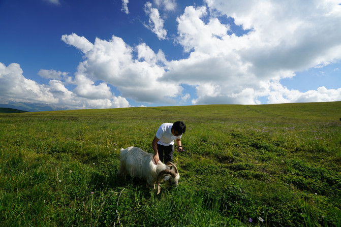 感受大西北的异域风情环疆游结束,南北疆深度游北疆进入南疆