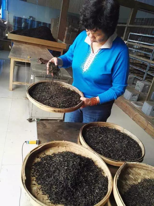 腾冲“茶妈妈”：茶的淡泊，也是人的淡泊