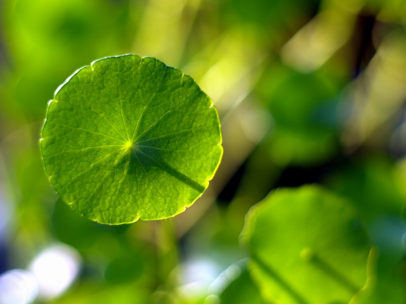 立秋将至怎么护肤,立秋护肤知识大全