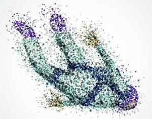 意外受伤出血时正确的止血方法,意外出血时正确的止血方法