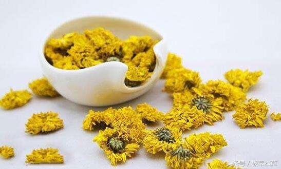 每天喝菊花茶有什么作用和功效,菊花茶的作用与副作用能长期喝吗