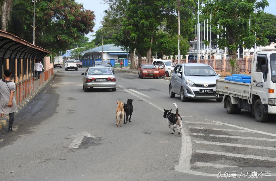 仙本那人间仙境的秘密,仙本那不为人知的一面