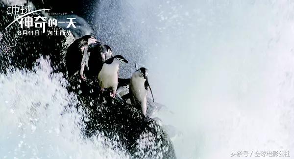 7月已过8月全球大片太燃好像得睡电影院了！