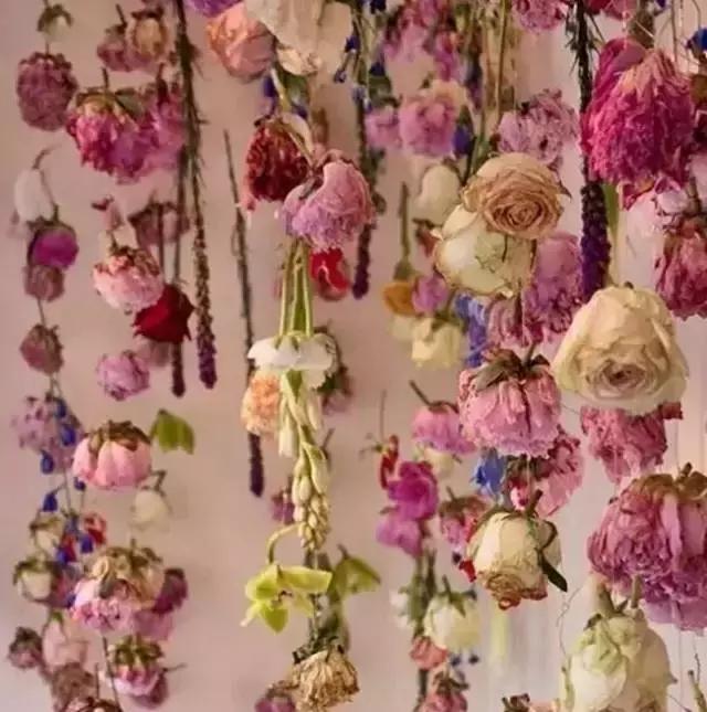 娈嬫灊璐ュ彾鎻掕姳,娈嬫灊璐ヨ姳