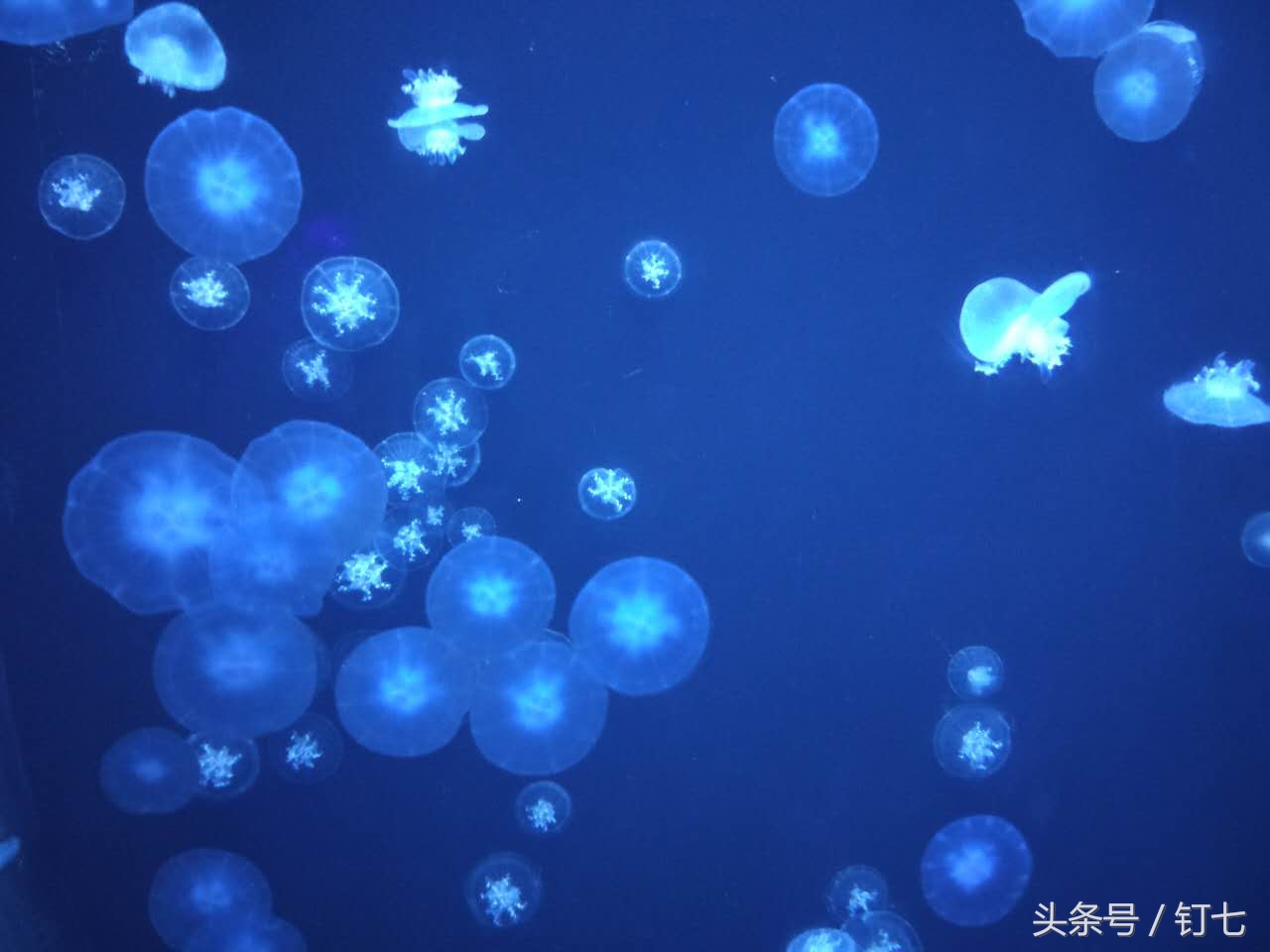 夏天与海绝配,夏天与海洋更配的图片