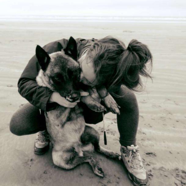 流浪猫志愿者实践活动,做志愿者的活动纪实