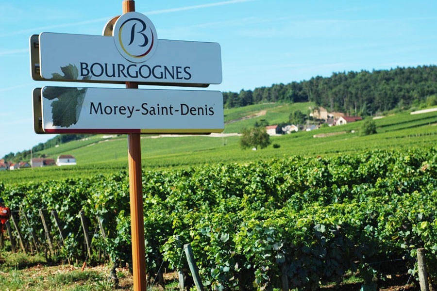 一级园和二级园的区别价格,省级园好还是1级园好