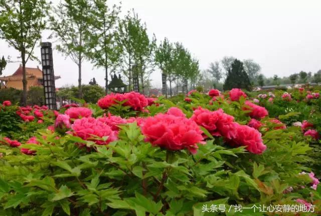 1-3月份山东适合去哪旅游,山东1月2日旅游攻略大全