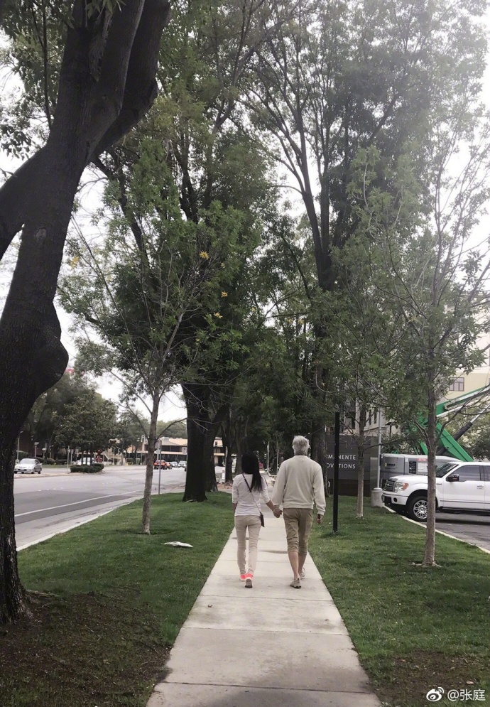 张庭与林瑞阳婚姻内幕,张庭老公林瑞阳个人资料