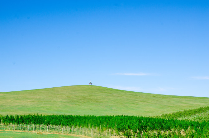 天堂草原锡林郭勒歌词及对白,真正的内蒙古锡林郭勒大草原