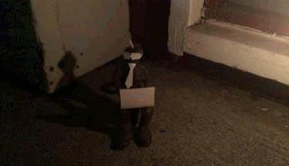 艾特动画人物,艾特所有好友软件