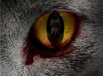 鬼吹灯之黄皮子坟黄皮子放了没有,黄皮子坟真实民间传说