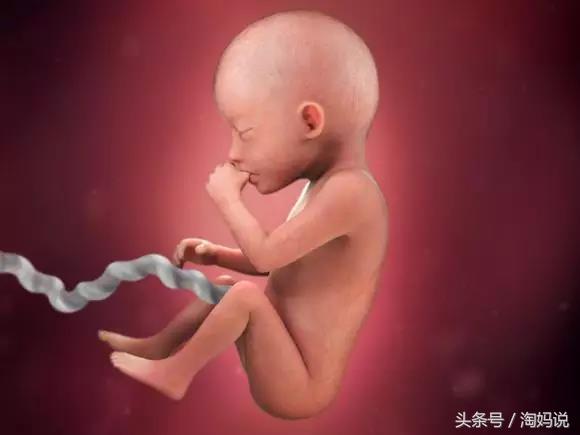胎儿发育40周全过程注意事项,赞宝宝训练抬头的句子