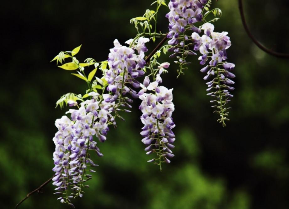 有一种岁月带给你的忧伤，因为你懂，所以，你泪流满面