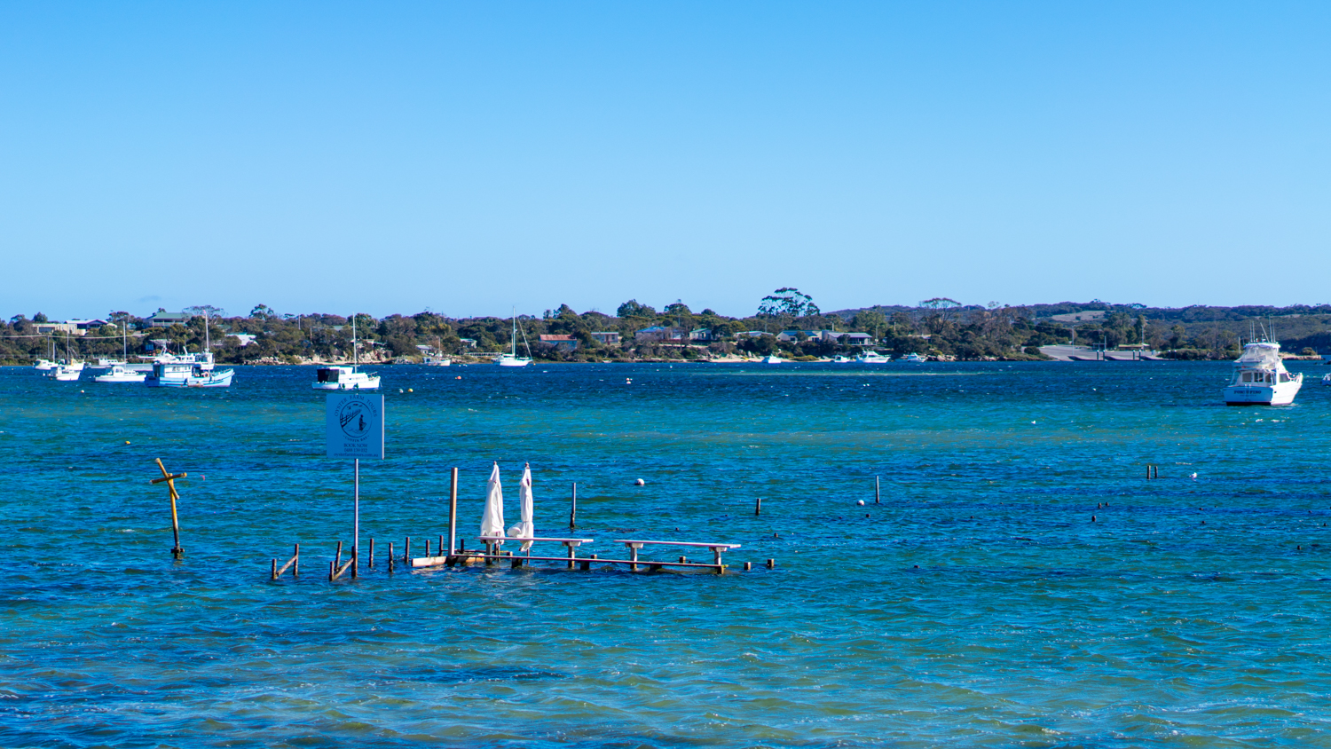 澳洲生蚝哪里最好,全球顶级生蚝多少钱一个