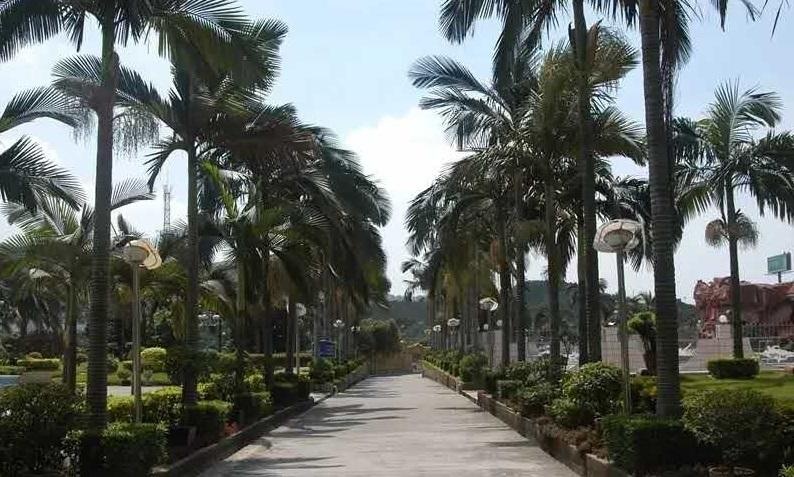 东莞市最美医生,最美医生广东东莞