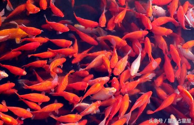 本命年注意事项和运势,本命年禁忌注意事项