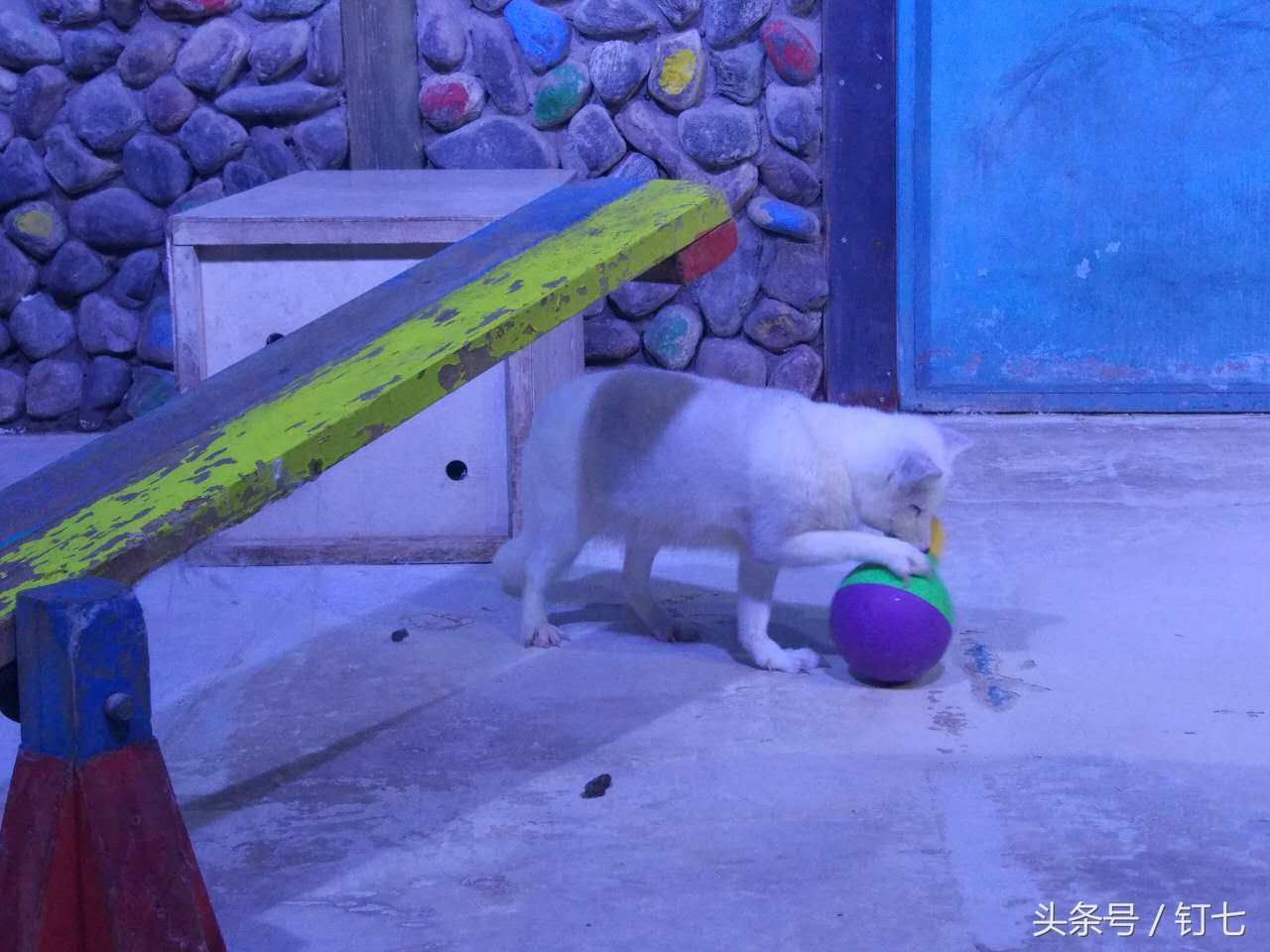 夏天与海绝配,夏天与海洋更配的图片