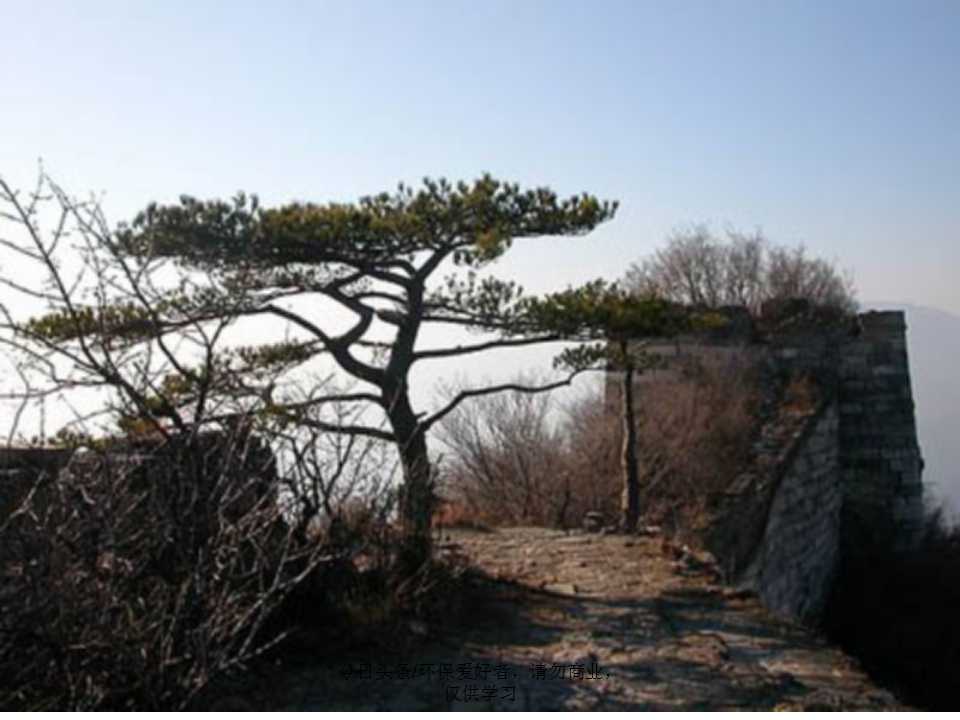 认识植物从身边开始,认识植物的根茎叶各个部分