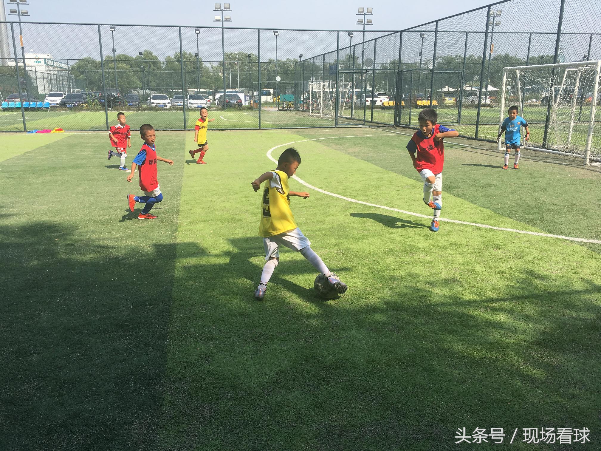 激情星期六:京鲁大战激烈精彩,足球小将厉害可爱!|看球记