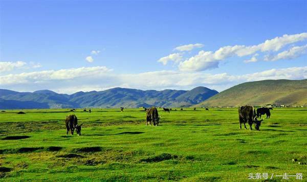 云贵川自驾游线路攻略,云贵川自驾游详细路线