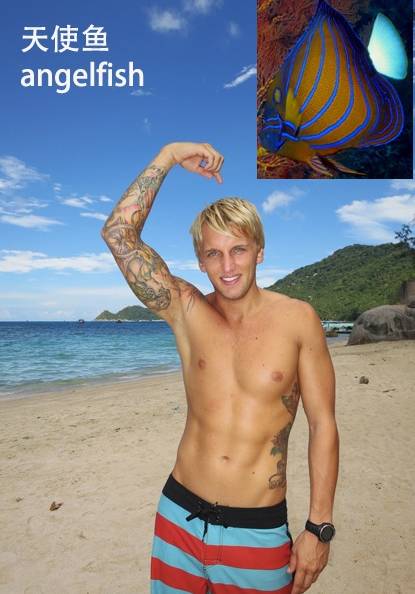 各种鱼的手势,海鱼表示动作词语