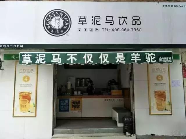 最近流行奶茶品牌有哪些名字,十大奇葩奶茶名