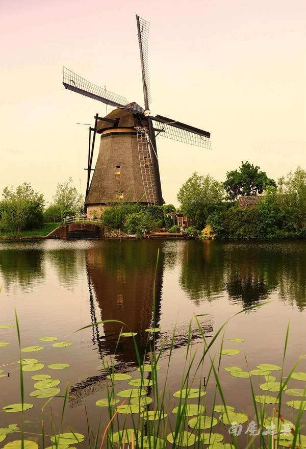荷兰现在能不能去,什么时候不能去荷兰