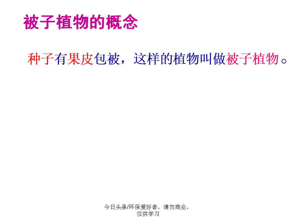 认识植物从身边开始,认识植物的根茎叶各个部分