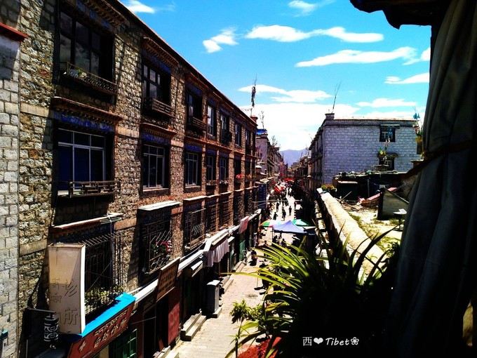 奥古斯都,August的格桑花秘境：我养你！带你去*藏西**啊！