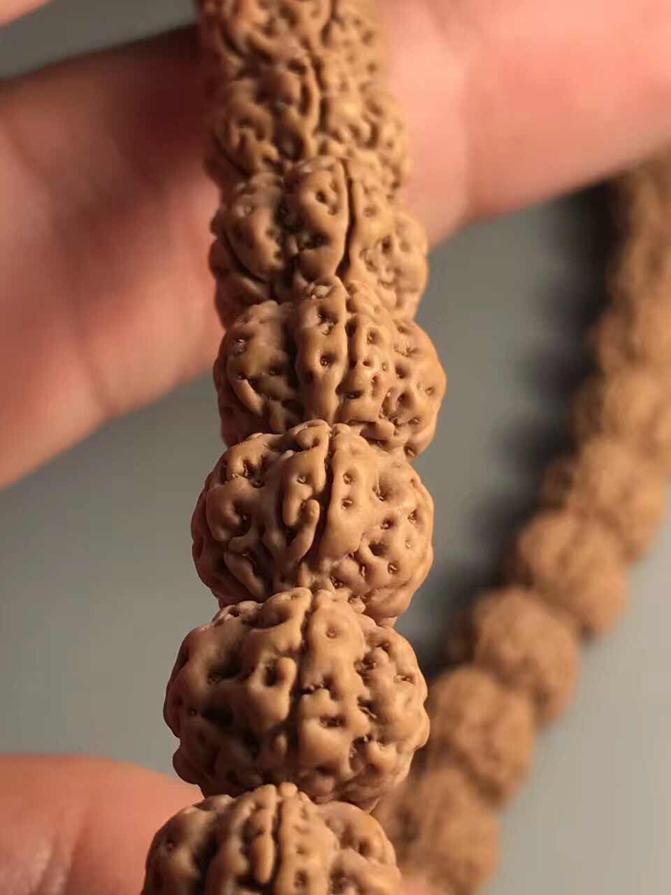 史上最全的小金刚菩提子介绍,再也不用担心被忽悠了!