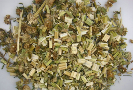 益母草正确喝法,用益母草泡水喝有什么效果