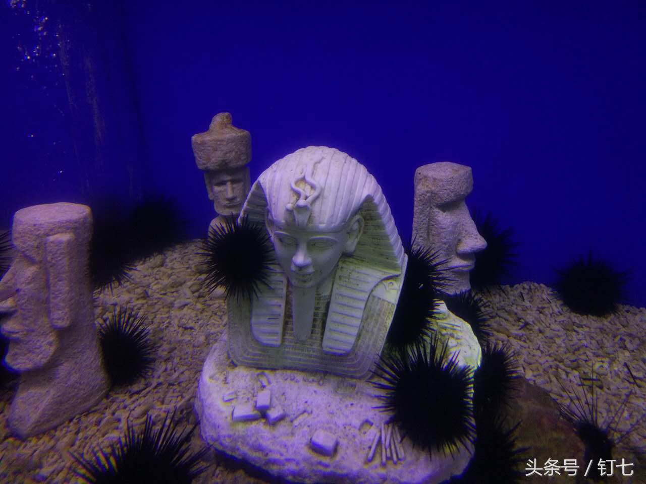 夏天与海绝配,夏天与海洋更配的图片
