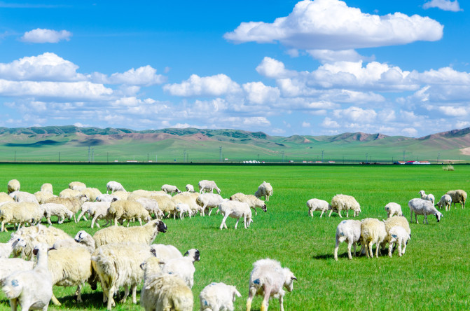 天堂草原锡林郭勒歌词及对白,真正的内蒙古锡林郭勒大草原