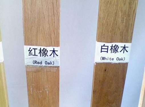 源氏木语橡木是红橡木还是白橡木,橡木皮如何鉴别