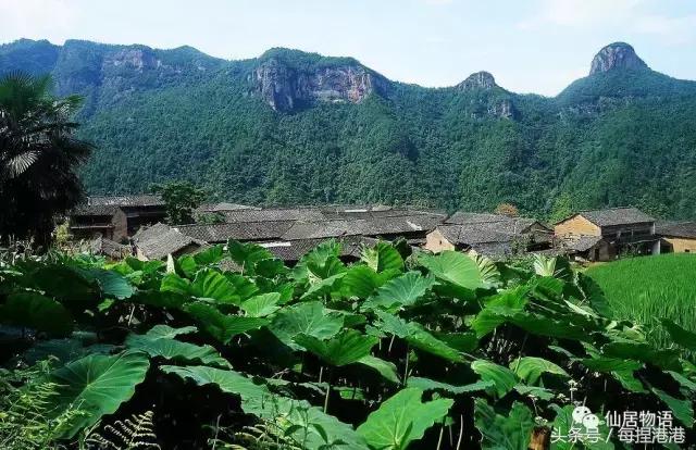 台州的公盂村,浙江省仙居县田市镇公盂村