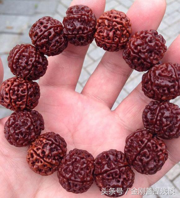 金刚菩提阴皮什么意思,金刚菩提子返碱的正确处理方法