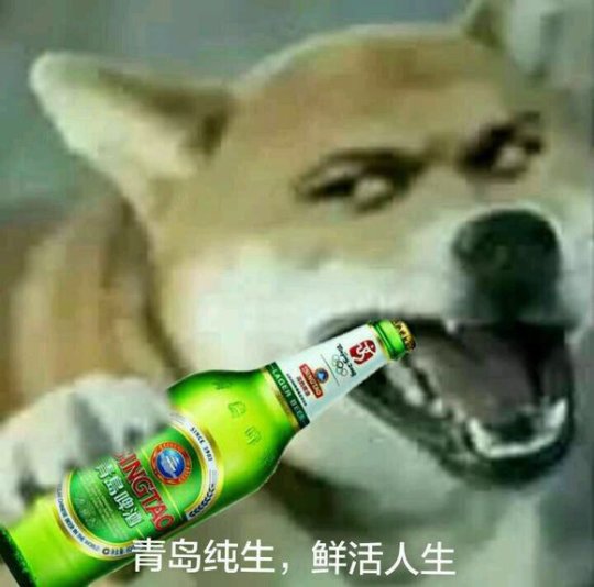 大J神:大一新生和大二学姐开学后不可描述的聊天记录