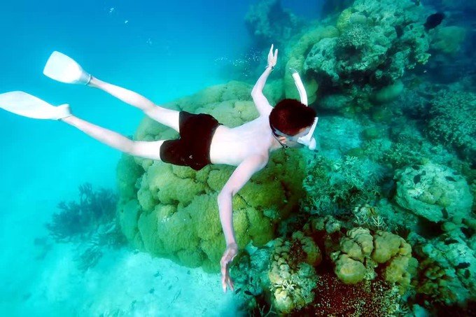 一起去帕劳旅游,去帕劳旅游自由行攻略