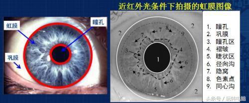 我尝试破解了八个手机品牌的5种锁屏方式,你猜到结果是什么吗?
