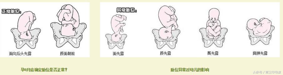 孕8周监测胎心位置,孕8周到11周怎么确定胎儿健康成长