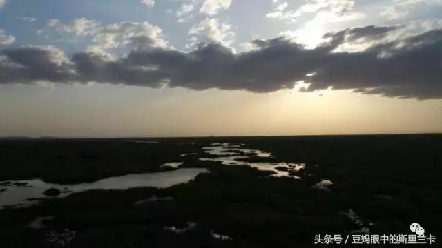 风动？树动？心动！致你，Kenya