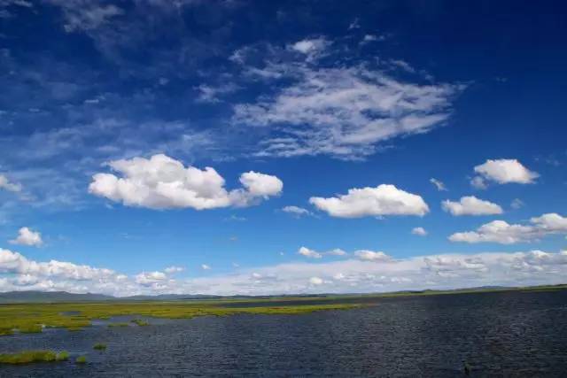 若尔盖湿地三月的景色,8月若尔盖草原哪里比较好