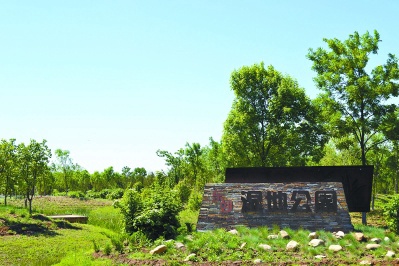 湿地公园最好的避暑圣地,北京避暑湿地公园名单