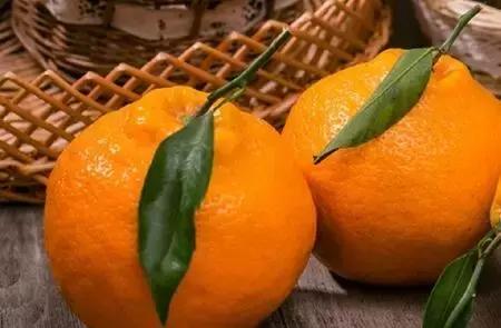 金堂县创建旅游城市,打造天府旅游县