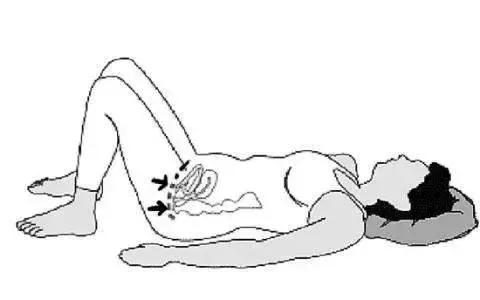 骨盆底肌位置,老司机带你了解车子