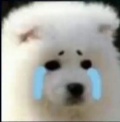 中国有嘻哈决赛红花会等待,中国有嘻哈红花会表演