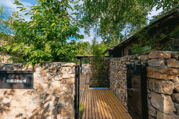 “麻麻,那是什么花?”“麻麻花呀!”