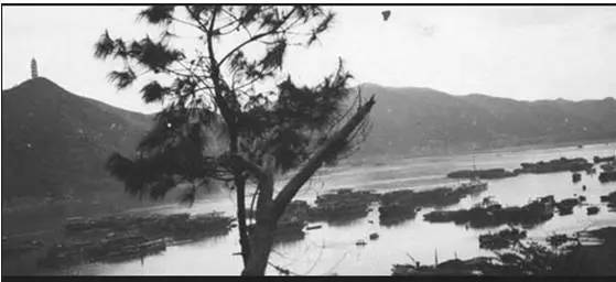 足球以球会友视频,足球缘