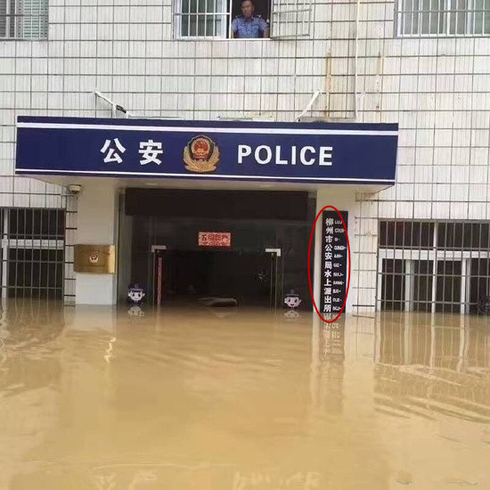 下班回来抄作业,下班回家就炒了一道菜